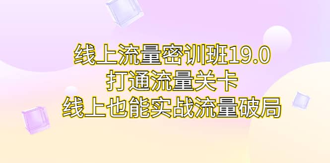 线上流量密训班19.0，打通流量关卡，线上也能实战流量破局-靠谱项目库