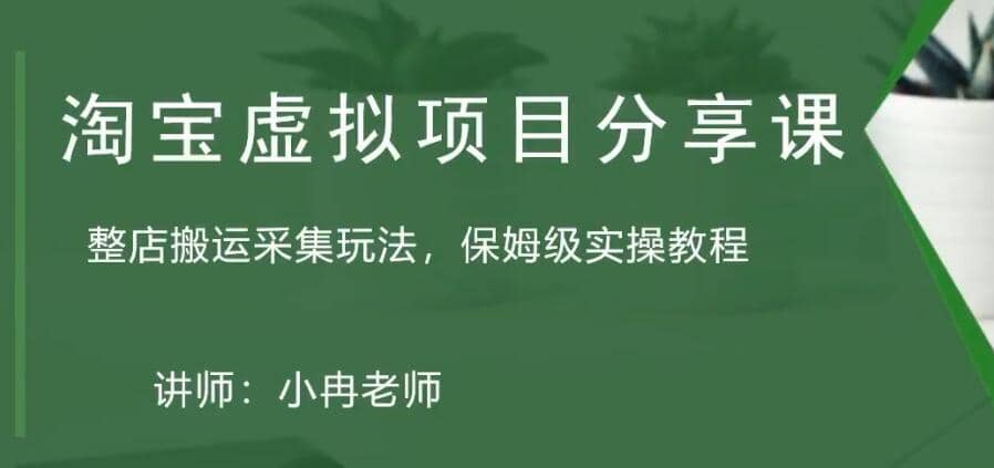 淘宝虚拟整店搬运采集玩法分享课：整店搬运采集玩法，保姆级实操教程-靠谱项目库