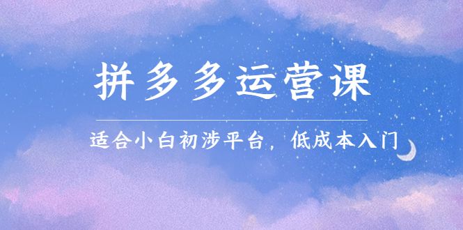 拼多多运营课，适合小白初涉平台，低成本入门-靠谱项目库