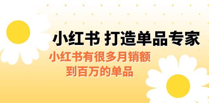 某公众号付费文章《小红书 打造单品专家》小红书有很多月销额到百万的单品-靠谱项目库