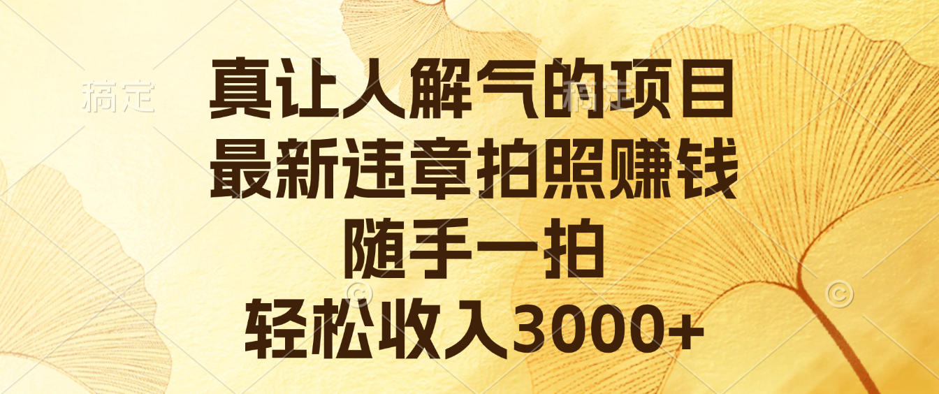 真让人解气的项目，最新违章拍照赚钱，随手一拍，轻松收入3000+-靠谱项目库