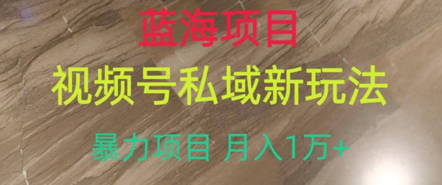 蓝海项目，视频号私域新玩法，暴力项目月入1万+【揭秘】-靠谱项目库
