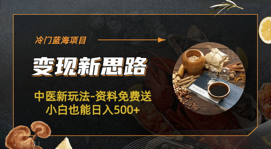 冷门蓝海项目-中医新玩法-冷门蓝海项目-中医新玩法-资料免费送小白也能日入500+500+-靠谱项目库