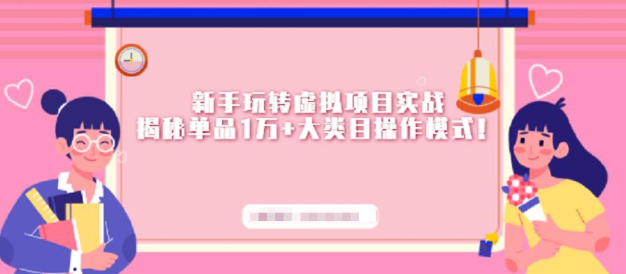 新手玩转虚拟项目实战，揭秘单品1万+大类目操作模式【视频课程】-靠谱项目库