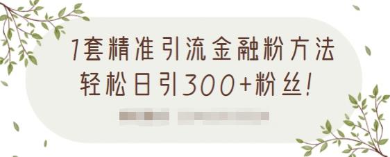 1套精准引流金融粉方法，轻松日引300+粉丝【视频课程】-靠谱项目库