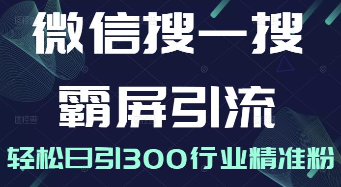 微信搜一搜霸屏引流课，打造被动精准引流系统，轻松日引300行业精准粉【无水印】-靠谱项目库