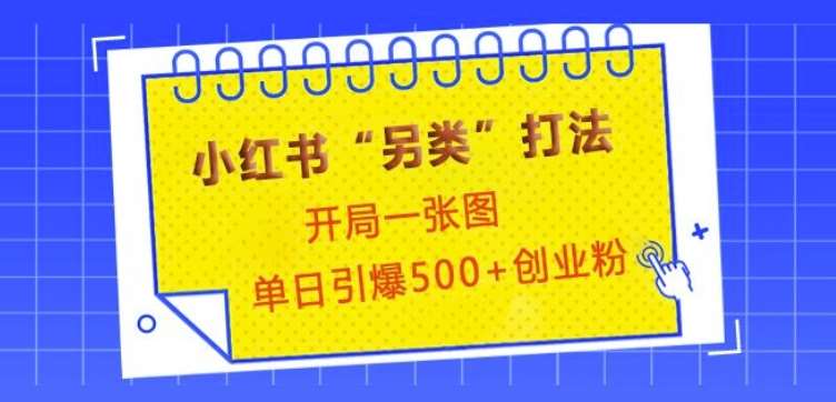 小红书“另类”打法，开局一张图，单日引爆500+精准创业粉【揭秘】-靠谱项目库