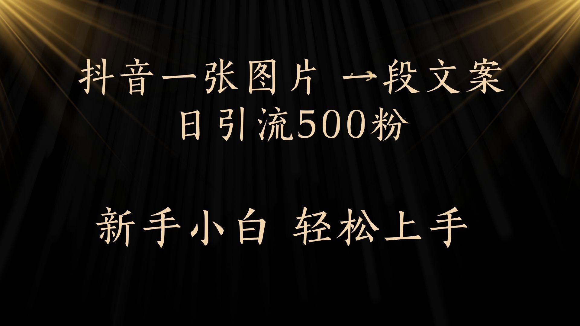 每天2分钟，抖音一张图片 一段文案日引流500粉-靠谱项目库