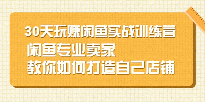 30天玩赚闲鱼实战训练营，闲鱼专业卖家教你如何打造自己店铺-靠谱项目库