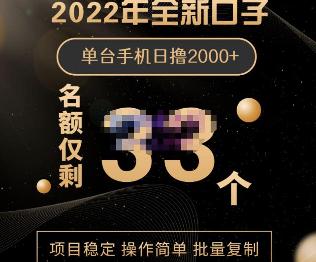 2022年全新口子，手机批量搬砖玩法，一部手机日撸2000+-靠谱项目库