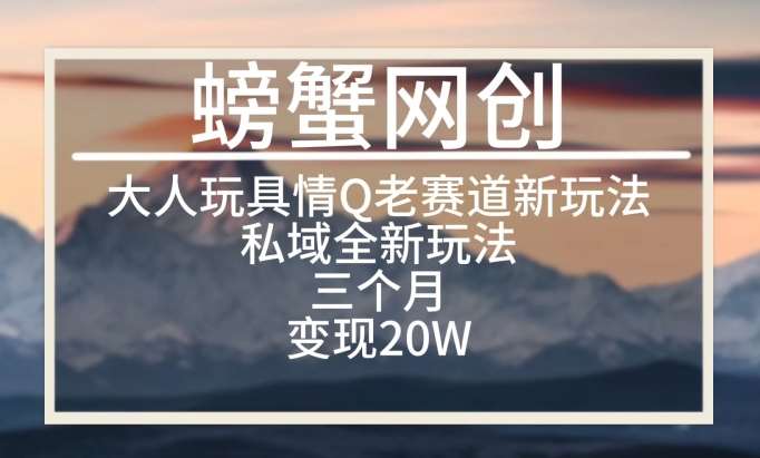 大人玩具情Q用品赛道私域全新玩法，三个月变现20W，老项目新思路【揭秘】-靠谱项目库