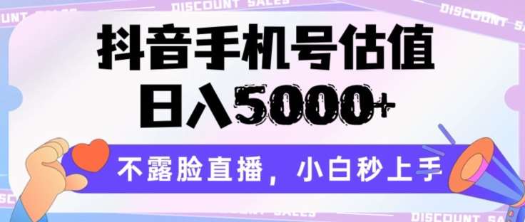 抖音手机号估值，日入5000+，不露脸直播，小白秒上手【揭秘】-靠谱项目库