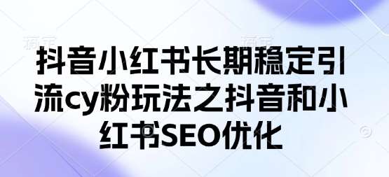 抖音小红书长期稳定引流cy粉玩法之抖音和小红书SEO优化-靠谱项目库