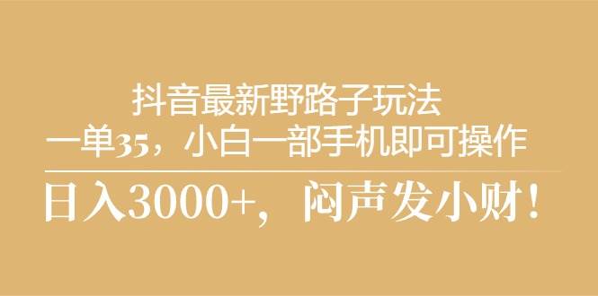 （10766期）抖音最新野路子玩法，一单35，小白一部手机即可操作，，日入3000+，闷…-靠谱项目库