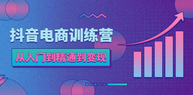 抖音电商训练营：从入门到精通，从账号定位到流量变现，抖店运营实操-靠谱项目库