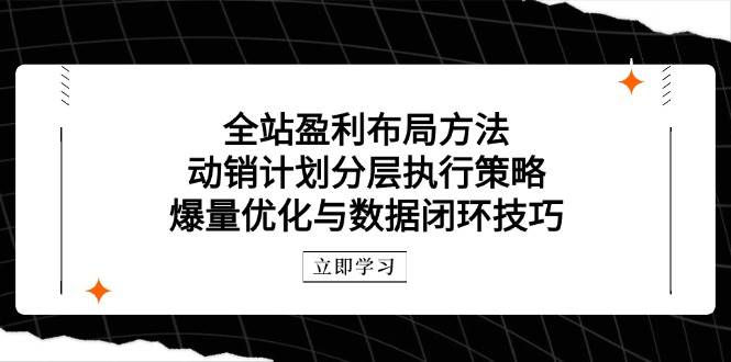 （14698期）全站盈利布局方法：动销计划分层执行策略，爆量优化与数据闭环技巧-靠谱项目库