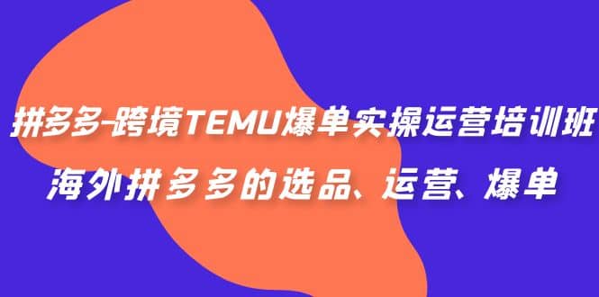 拼多多-跨境TEMU爆单实操运营培训班，海外拼多多的选品、运营、爆单-靠谱项目库