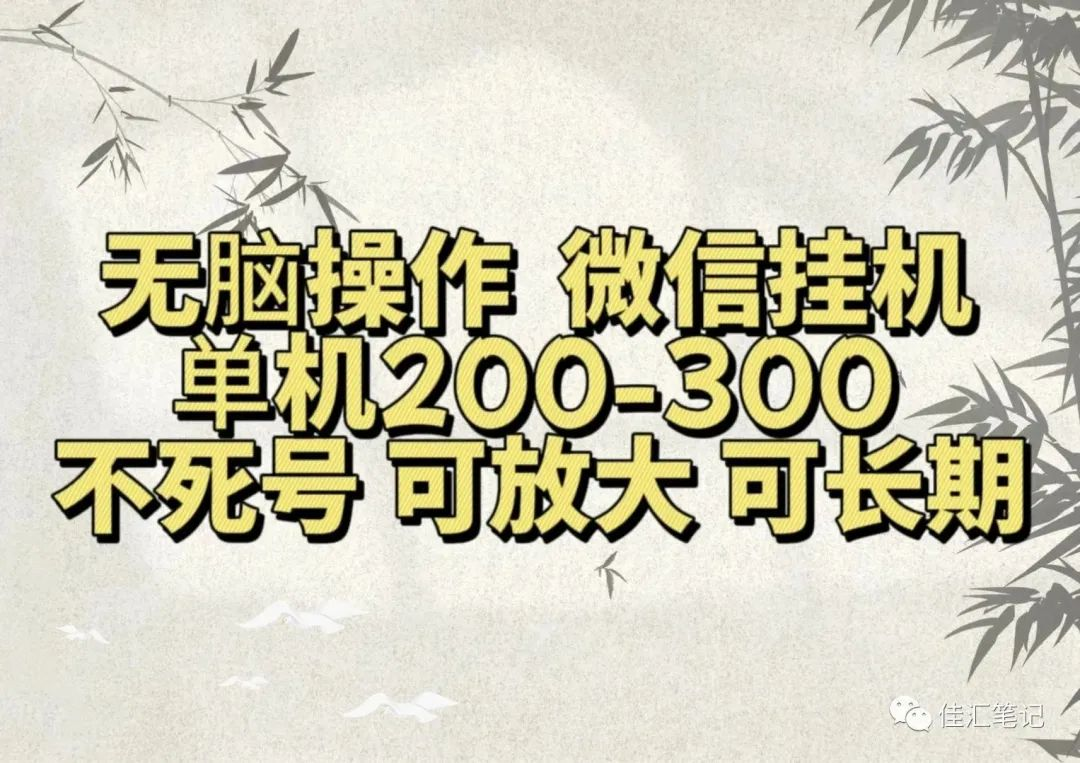 无脑操作微信视频号挂机单机200-300一天，不死号，可放大，工作室实测-靠谱项目库