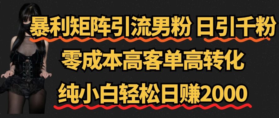 暴利矩阵引流男粉（日引千粉），零成本高客单高转化，纯小白轻松日赚2000+-靠谱项目库
