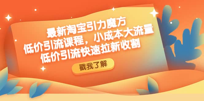 最新淘宝引力魔方低价引流实操：小成本大流量-靠谱项目库