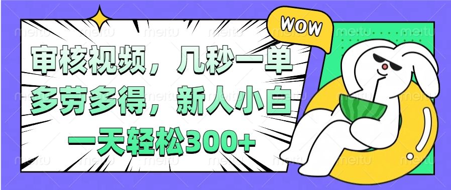 视频审核项目，几秒一单，多劳多得，新人小白一天轻松300+-靠谱项目库