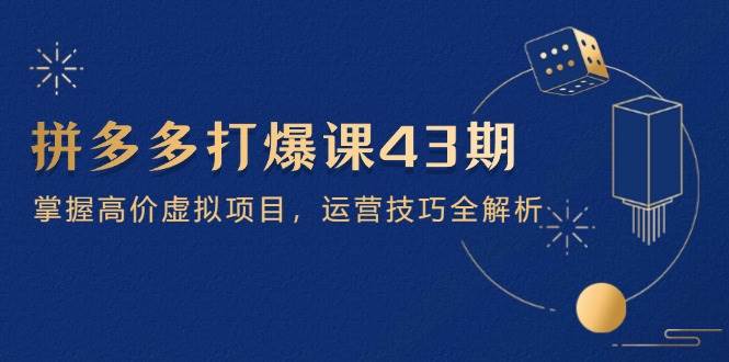 （14546期）拼多多打爆课第 43 期，掌握高价虚拟项目，运营技巧全解析（15节）-靠谱项目库
