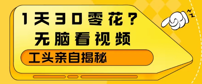 1天30零花？无脑看视频，大佬亲自揭秘-靠谱项目库
