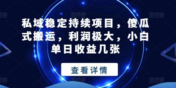 私域稳定持续项目，傻瓜式搬运，利润极大，小白单日收益几张【揭秘】-靠谱项目库