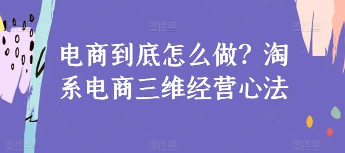 电商到底怎么做？淘系电商三维经营心法-靠谱项目库