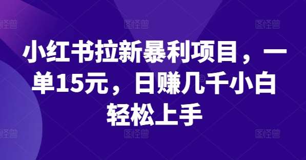 小红书拉新暴利项目，一单15元，日赚几千小白轻松上手【揭秘】-靠谱项目库