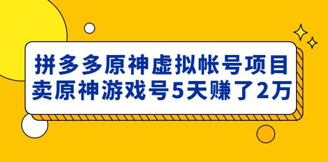 外面卖2980的拼多多原神虚拟帐号项目-靠谱项目库