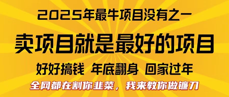 全网都在割你韭菜，我来教你做镰刀。卖项目就是最好的项目，2025年最牛互联网项目-靠谱项目库