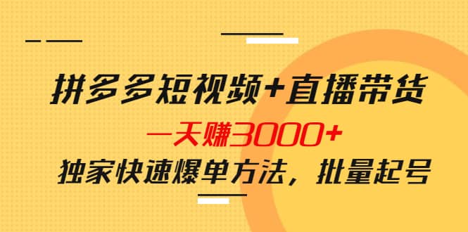 拼多多短视频+直播带货，一天赚3000+独家快速爆单方法，批量起号-靠谱项目库