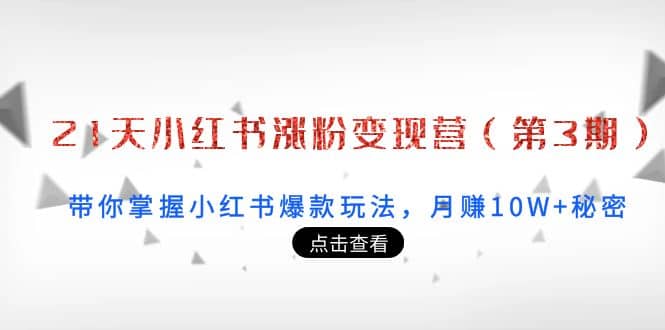 21天小红书涨粉变现营（第3期）：带你掌握小红书爆款玩法，月赚10W+秘密-靠谱项目库
