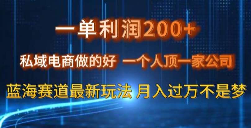 一单利润200私域电商做的好，一个人顶一家公司蓝海赛道最新玩法【揭秘】-靠谱项目库