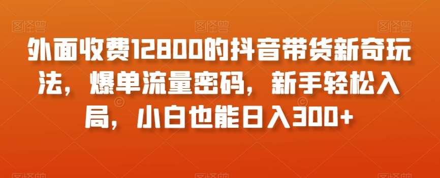外面收费12800的抖音带货新奇玩法，爆单流量密码，新手轻松入局，小白也能日入300+【揭秘】-靠谱项目库