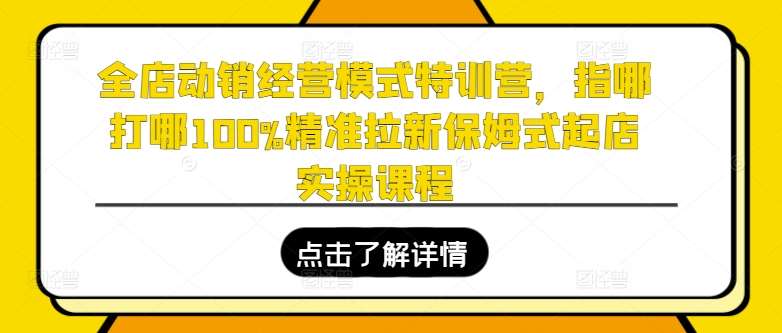全店动销经营模式特训营，指哪打哪100%精准拉新保姆式起店实操课程-靠谱项目库