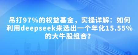 付费文章：吊打97%的权益基金，实操详解：如何利用deepseek来选出一个年化15.55%的大牛股组合?-靠谱项目库