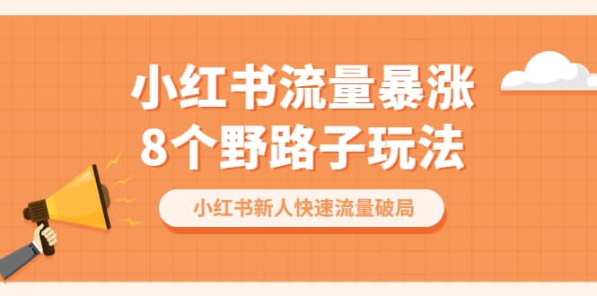 小红书流量-暴涨8个野路子玩法：小红书新人快速流量破局（8节课）-靠谱项目库
