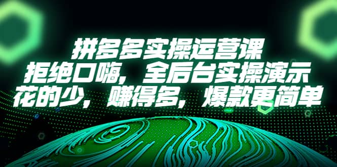 拼多多实操运营课：拒绝口嗨，全后台实操演示，花的少，赚得多，爆款更简单-靠谱项目库