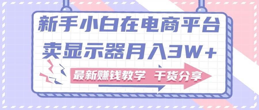 新手小白如何做到在电商平台卖显示器月入3W+，最新赚钱教学干货分享-靠谱项目库