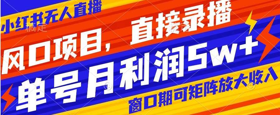 风口项目，小红书无人直播带货，直接录播，可矩阵，月入5w+【揭秘】-靠谱项目库