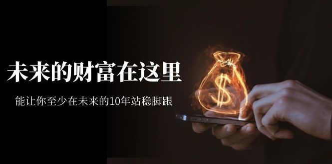 某收费文章《未来的财富在这里》能让你至少在未来的10年站稳脚跟-靠谱项目库