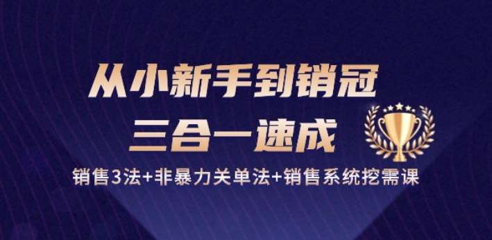 从小新手到销冠 三合一速成：销售3法+非暴力关单法+销售系统挖需课 (27节)-靠谱项目库