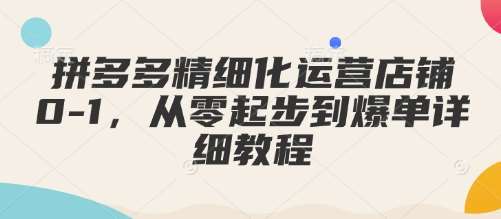拼多多精细化运营店铺0-1，从零起步到爆单详细教程-靠谱项目库