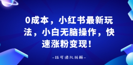 0成本，小红书最新玩法，小白无脑操作，快速涨粉变现-靠谱项目库