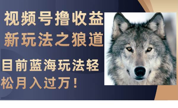 （8042期）视频号撸收益新玩法之狼道，目前蓝海玩法轻松月入过万！-靠谱项目库