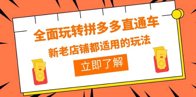 全面玩转拼多多直通车，新老店铺都适用的玩法（12节精华课）-靠谱项目库