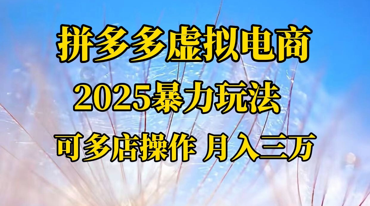拼多多虚拟电商，不囤货不垫资的虚拟电商-靠谱项目库