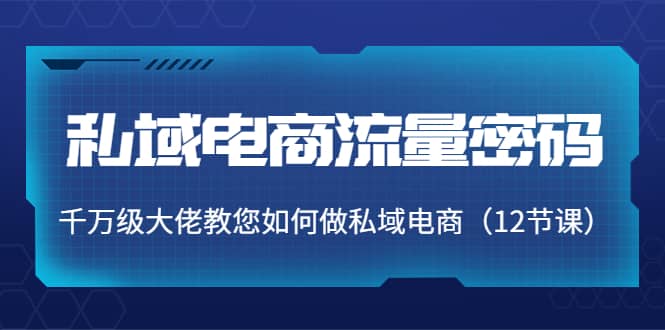 私域电商流量密码：千万级大佬教您如何做私域电商（12节课）-靠谱项目库